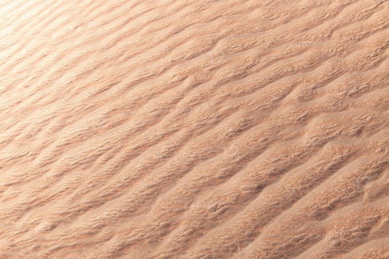 Close-up of La Puna desert capturing the intricate rippling sand textures formed by natural elements. The soft golden hue highlights the beauty of desert landscapes