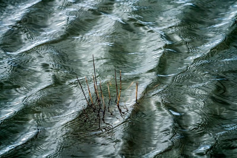 Flooded grass, waves on the Weser river with sun reflexes, Wesertal, Weserbergland, Germany