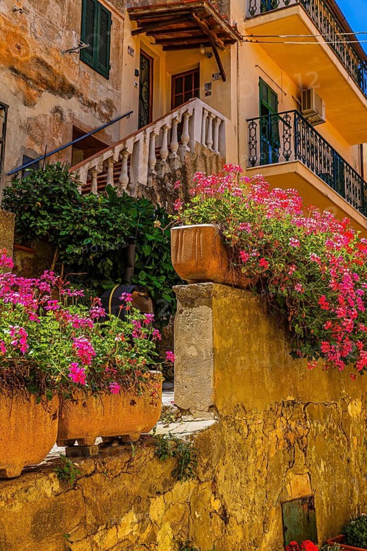 Staircase decorated with flowers in the mountain village of Poggio, Elba Island, Tuscan Archipelago National Park, Tuscany, Italy