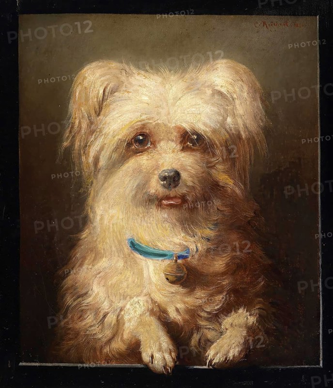 Carl Reichert, Karl Reichert, pseudonym J. Hartung (born 27 August 1836 in Vienna, died 5 April 1918 in Graz) . Austrian painter, especially landscape painter and animal painter. Here his work:, Dwarf Griffon (1871), Dog portrait of a Brussels Griffon with blue collar and bell, Painting, Reproduction of the painting, Work of art, Historical
