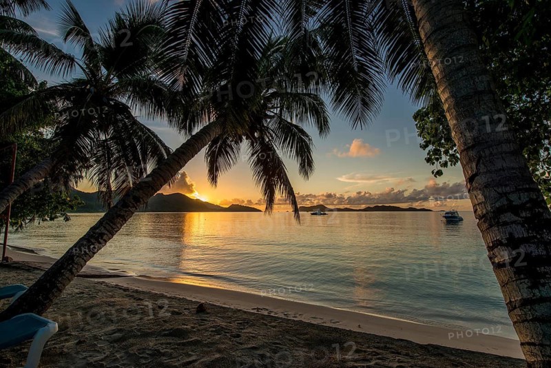 Anse Government beach at Hotel L'Archipel Resort, Praslin, Republic of Seychelles, Indian Ocean