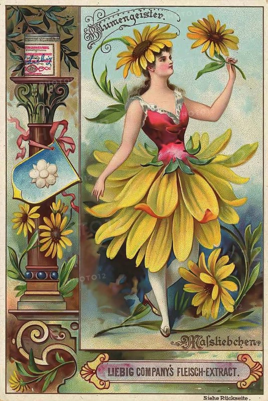 Picture series Flower spirits, Woman with a daisy, Liebig picture, digitally restored reproduction of a collector's picture from around 1900, public domain, exact date unknown, A woman with a daisy-based dress dances, in vintage style