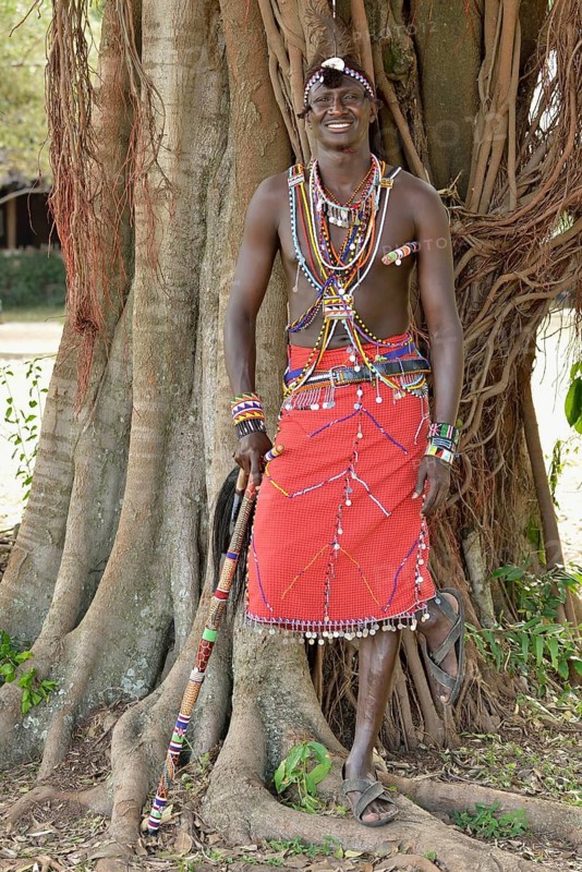 Maasai warrior wearing traditional dress and standing in a typical pose on one leg, near Enkutoto, Masai Mara, Rift Valley Province, Kenya