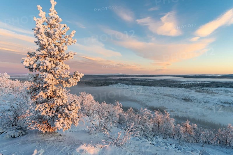 Wintry morning over swamp landscape, Norrbotten, Lapland, Sweden, November 2020