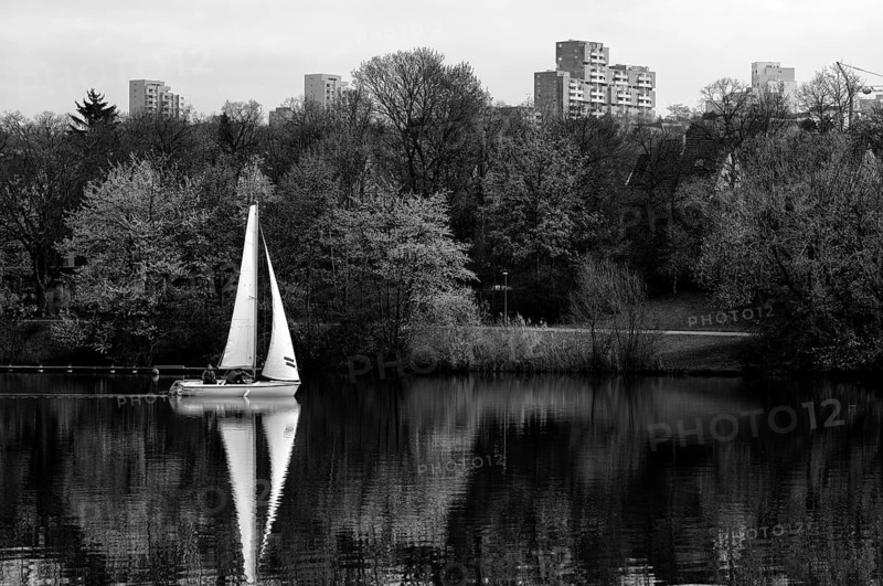 Sailing boat sails on Max-Eyth-See, Hofen, behind Neugereut, Schwarz-Weiß Stuttgart, Baden-Württemberg, Germany