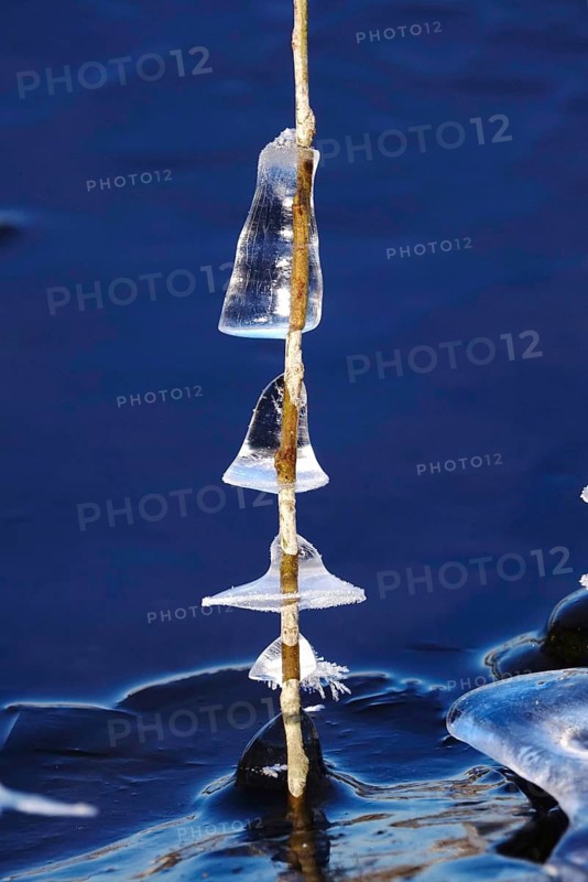 Ice on the banks of the Elbe, Winter, Dresden, Saxony, Germany