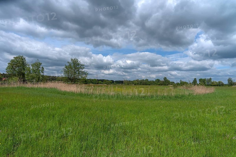 Wisenlandschaft, Schrobenhausen, Upper Bavaria, Germany