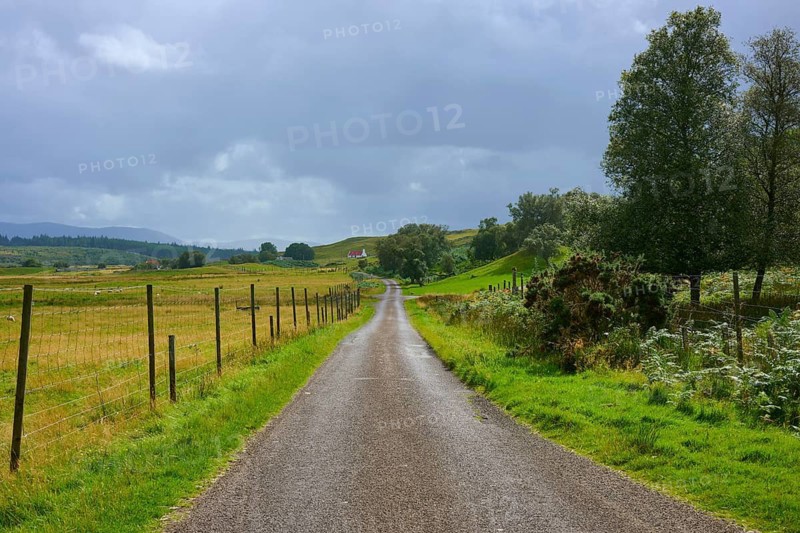Long country road between green fields and trees, cloudy sky, Sutherland, Strathnaver, Kinbrace, Scotland, United Kingdom, United Kingdom