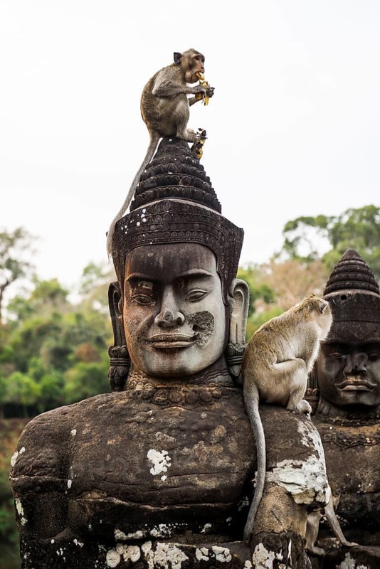 Figures and monkeys on the bridge to Angkor Thom, macaques, sunset, Angkor Wat, Angkor, UNESCO World Heritage Site, Siem Reap, Cambodia, Indochina, Southeast Asia