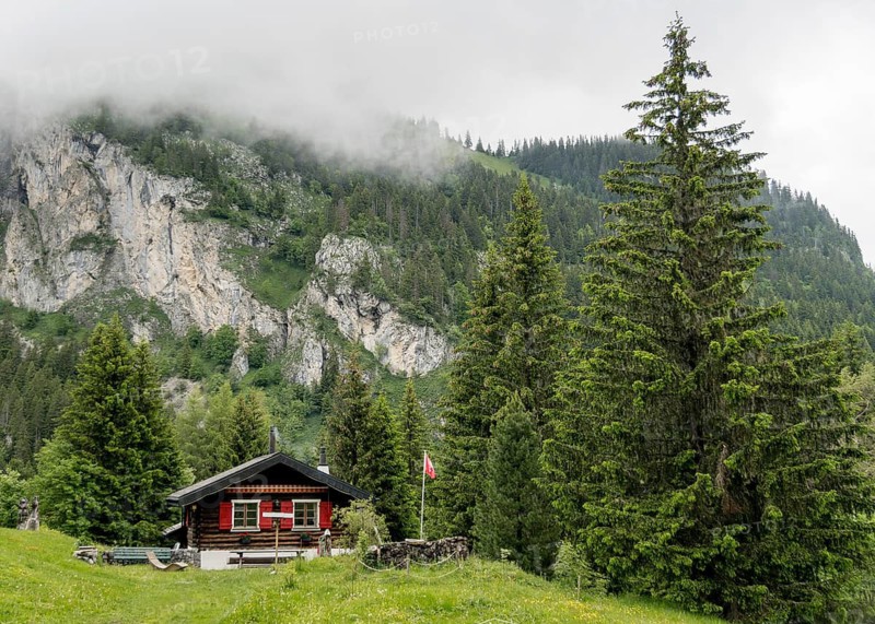A cozy chalet nestled in the misty landscape of Lac de Taney, Switzerland Surrounded by lush green forests and majestic mountains, offering a serene natural retreat