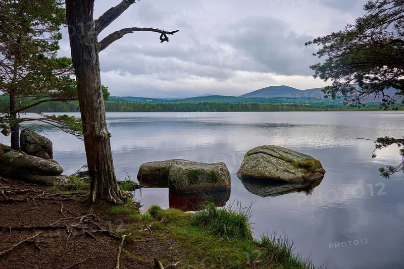 Rocks and trees on quiet lakeside under a cloudy sky, Loch Garden, Nethy Bridge, Scotland, United Kingdom, United Kingdom