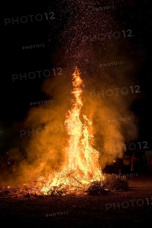 Environmental pollution, fire from discarded Christmas trees, Ostfildern-Plieningen, Baden-Württemberg, Germany