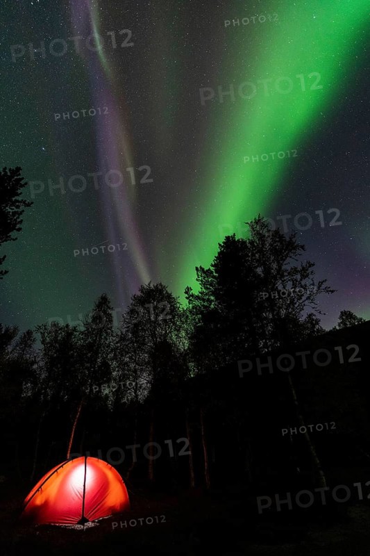 Northern Lights (Aurora borealis) reflected in a lake, Rago National Park, Nordland, Norway, bivouac, tent, lighting, Scandinavia