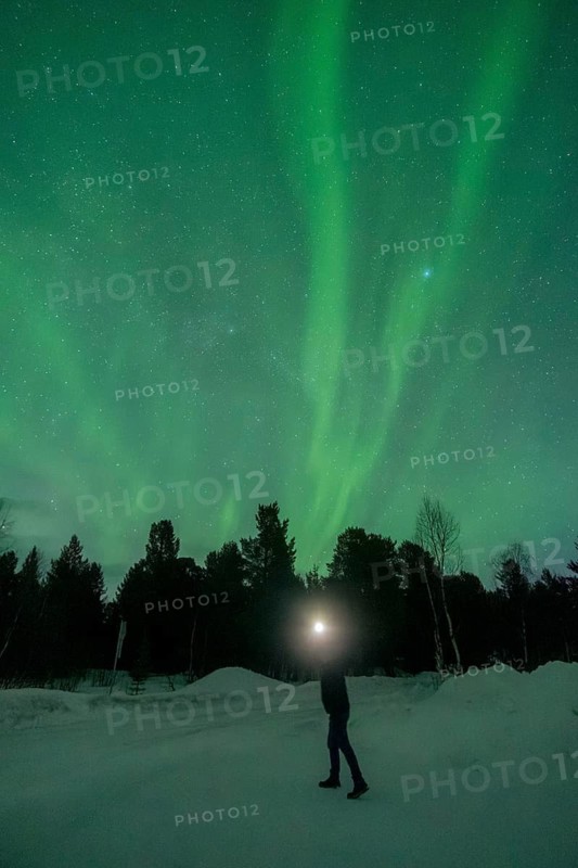 Unrecognizable person with a light torch experiencing the spectacular Aurora Borealis near Kiruna, Sweden. The vibrant green lights illuminate the night sky above a snowy landscape
