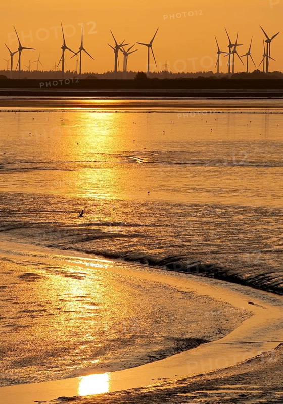 Mudflat landscape and many wind turbines in the marshland, North Sea, Norddeich, Norden, East Frisia, Lower Saxony, Germany