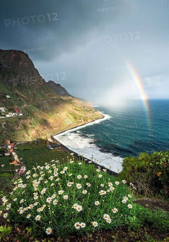 View of the village of Santa Catalina and the sea beaches Playa de Santa Catalina and Playa de Hermigua in the valley of Hermigua. The sea, mountains and a rainbow. Flowering shrub marguerites (Argyranthemum frutescens) in the foreground. Clouds and sun. La Gomera, Canary Islands, Spain