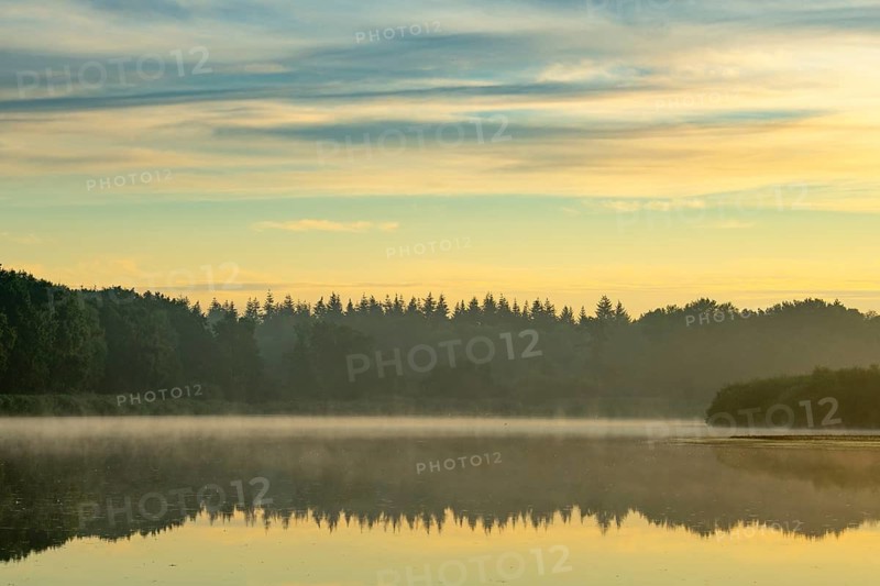 Sunrise with fog on a lake at the Ahlhoner fish ponds, Ahlhorn, Lower Saxony, Germany
