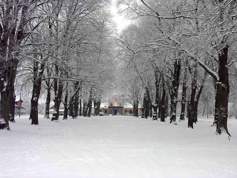 Winter lime tree avenue (Tilia) with an Art Nouveau villa built around 1900, Rögnitz, Mecklenburg-Vorpommern, Germany