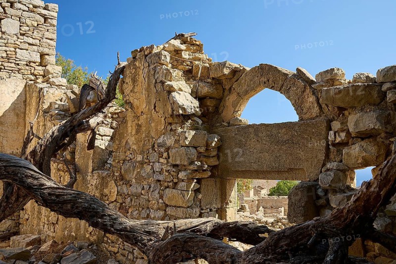 Old stone ruins with broken walls and growing tree trunks, Lost Place, Abandoned Village, Mikro Chorio, Church of the Assumption of Mary, Zero Waste Island, Tilos, Dodecanese, Greek Islands, Greece