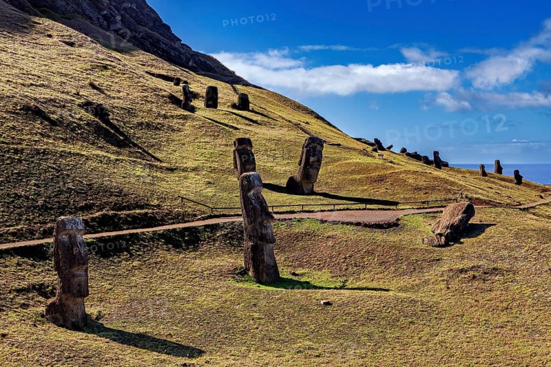 Moai statues spread across an overgrown hill under a blue sky with light clouds, The Moai statues on Easter Island in the Pacific Ocean