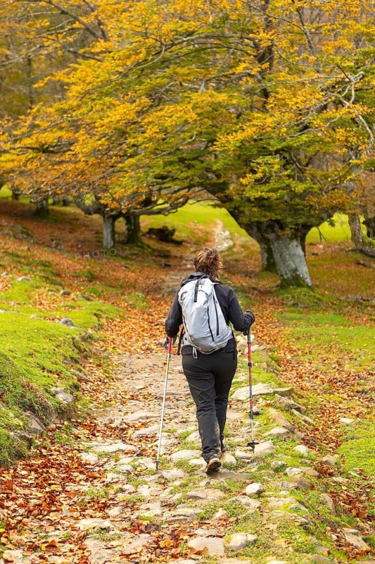 A woman hikes through the picturesque autumn landscape of Gorbea Natural Park in the Basque Country, Spain. Surrounded by vibrant fall foliage, she enjoys a serene outdoor adventure