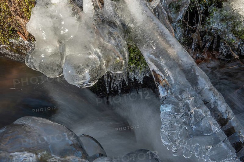 Branches are covered with ice near the river. The water flows gently and forms ice formations on the land and between the rocks. Upper Rhine, Vosges, Alsace, France
