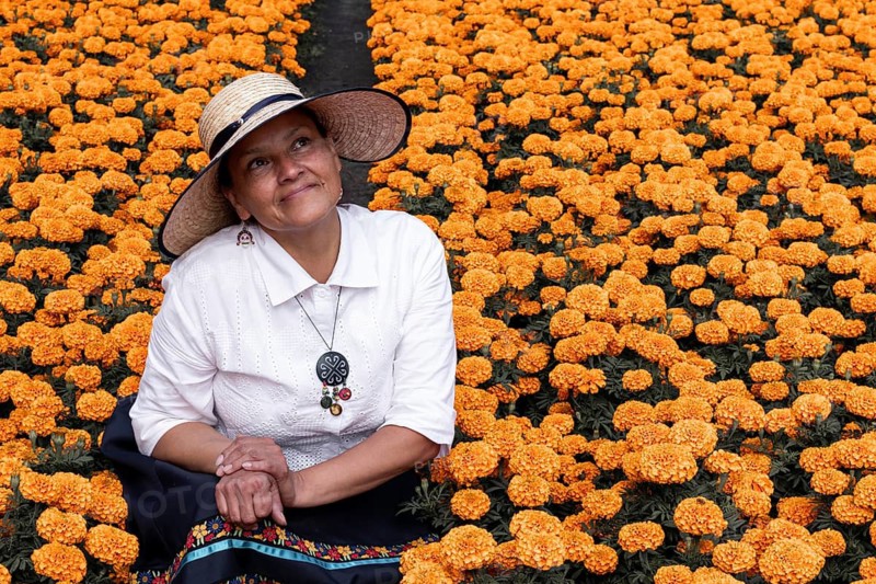 A woman in Xochimilco, Mexico, sits amidst vibrant cempasuchil flowers, traditionally used in Day of the Dead altars, showcasing the rich cultural heritage of the region