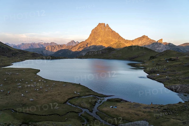 Captivating view of the Midi d'Ossau summit reflected in a peaceful lake, surrounded by lush vegetation and cows in the French Pyrenees A serene and picturesque mountain landscape