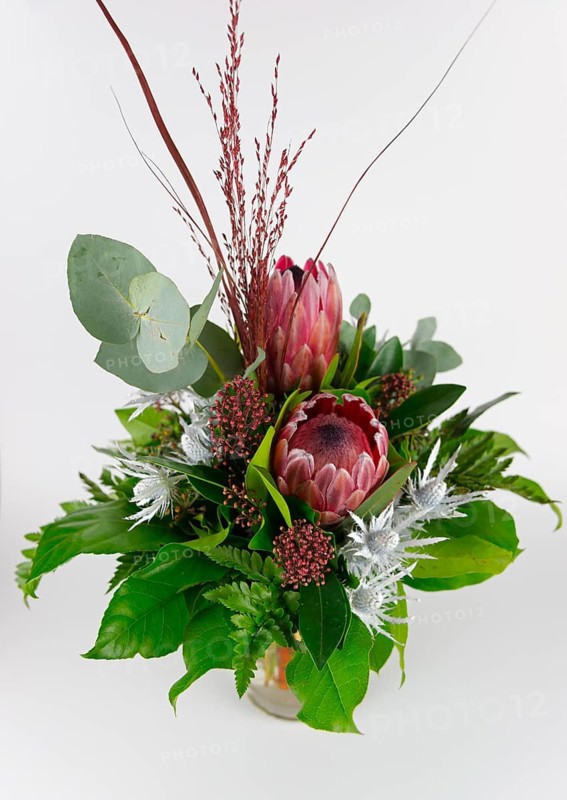 Elegantly tied bouquet with protea and eucalyptus branches, looks fresh and lively, bouquet