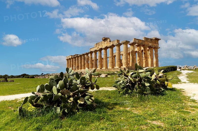 In front common prickly pear (Opuntia ficus-indica), behind ruins, ancient Greek temple E, also Hera temple, or temple of Hera, Lakinia or Iuno Lacinia, 460 to 450 BC, Doric peripteros, 6 × 13 columns, four-stepped base (crepis), archaeological sites of Selinunte, Parco Archeologico di Selinunte, Cas. BC, Doric peripteros, 6 × 13 columns, four-tiered substructure (crepis), archaeological sites of Selinunte, Parco Archeologico di Selinunte, Castelvetrano, municipal consortium of Trapani, Sicily, Italy, Mediterranean Sea