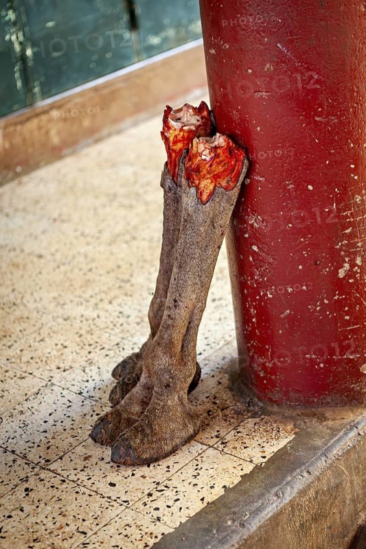 Two bloody animal legs lean against a red pillar on a tiled floor, offered by a butcher's shop in In Salah, Algeria