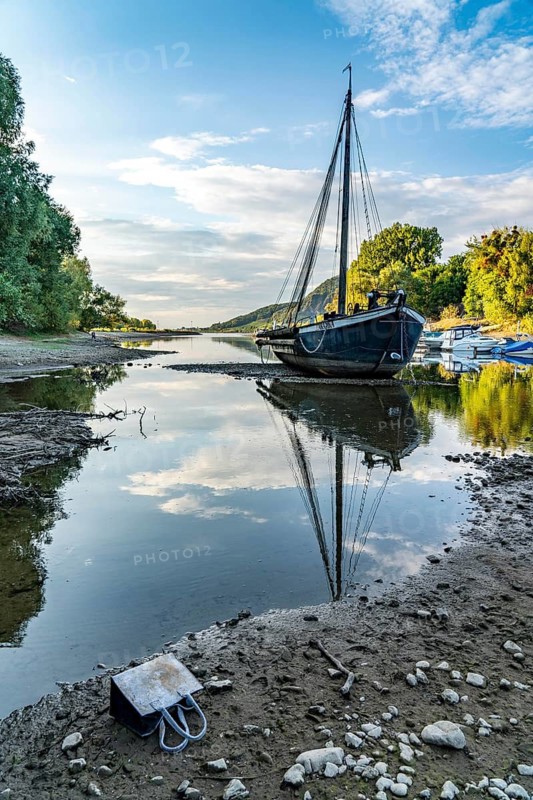 The Rhine at extremely low water, near Bad Honnef Rhöndorf, below the Drachenfels, the historic Rhine ship, Aalschokker Aranka, in the Old Rhine arm, on the island of Grafenwerth, dry banks of the Rhine, North Rhine-Westphalia, Germany