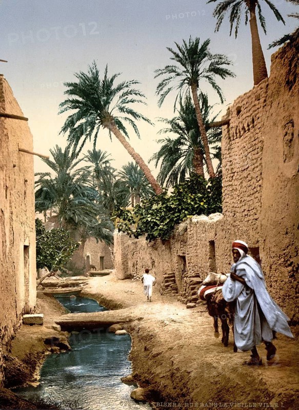 Street in the old town centre of Biskra, Algeria, ca 1890, Historical, digitally restored reproduction from a 19th century original, Record date not stated