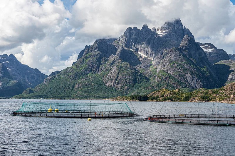 Cages of a salmon farm, at Raften at the Raftsund, the waterway between Lofoten and Vesteralen, Norway