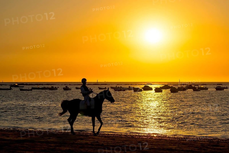 Silhouette of jockey riding horse along beach at sunset with boats in background in sanlucar de barrameda, spain, creating a serene and picturesque scene