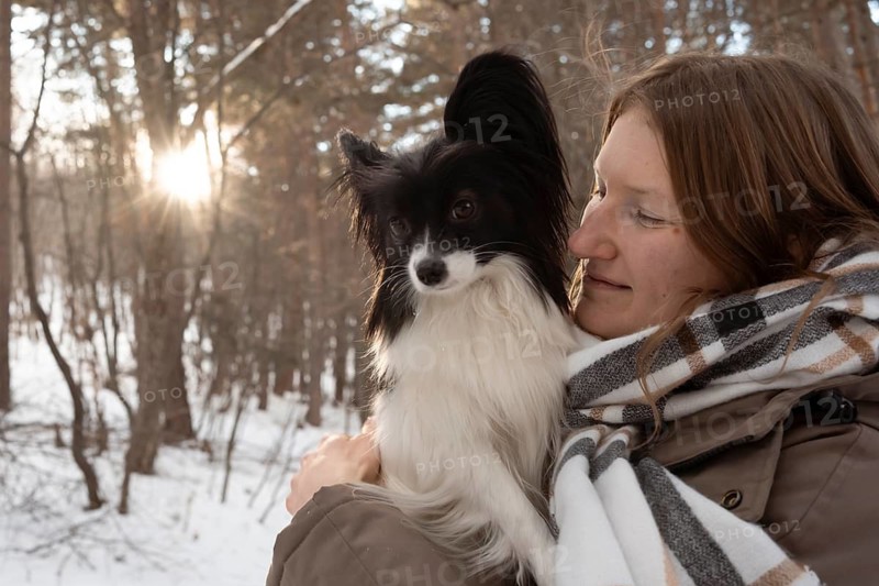 A purebred Papillon dog lovingly held by its owner during a serene winter day in a snowy forest. Sunlight filters through the trees, creating a peaceful atmosphere