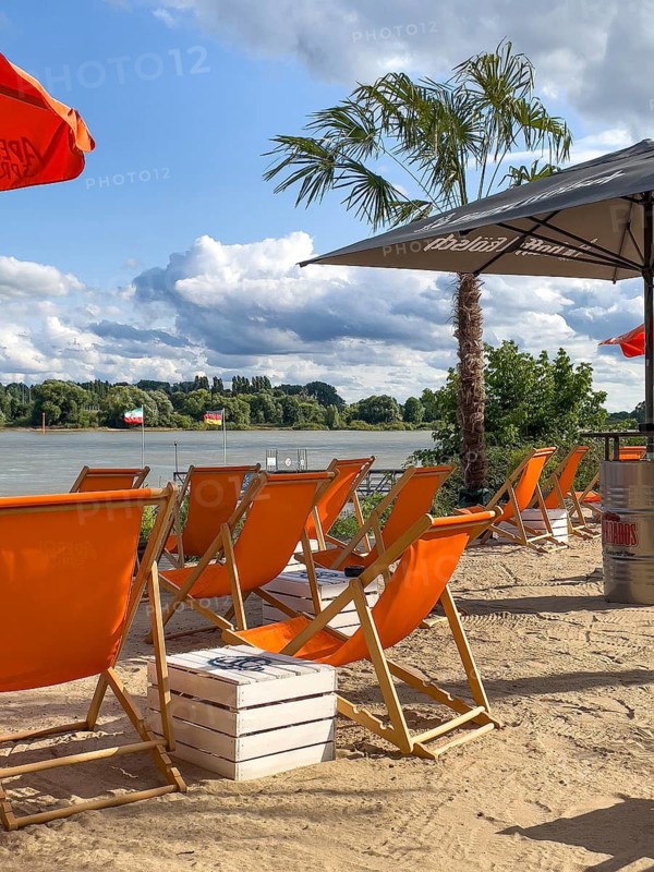 View over orange chairs in the sand from a beach bar to the river Rhine in the background, palm tree (Trachycarpus fortunei) on the right, Rheinfeld, Dormagen, North Rhine-Westphalia, Germany