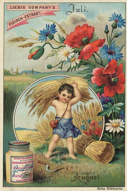 Picture series The months, July and August, Liebig picture, digitally restored reproduction of a collector's picture from around 1900, public domain, exact date unknown, A child in a summer scene with grain and flowers, a symbol of the harvest season