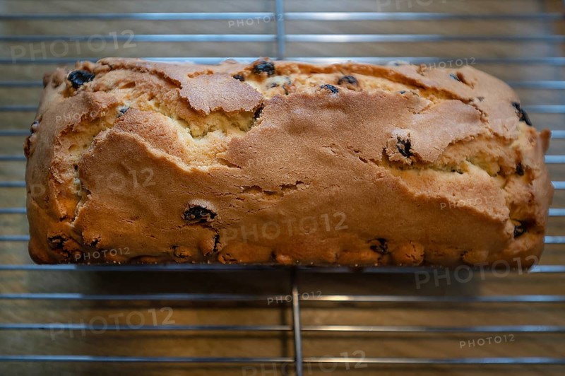 English tea cake fresh from the oven, Franconia, Bavaria, Germany