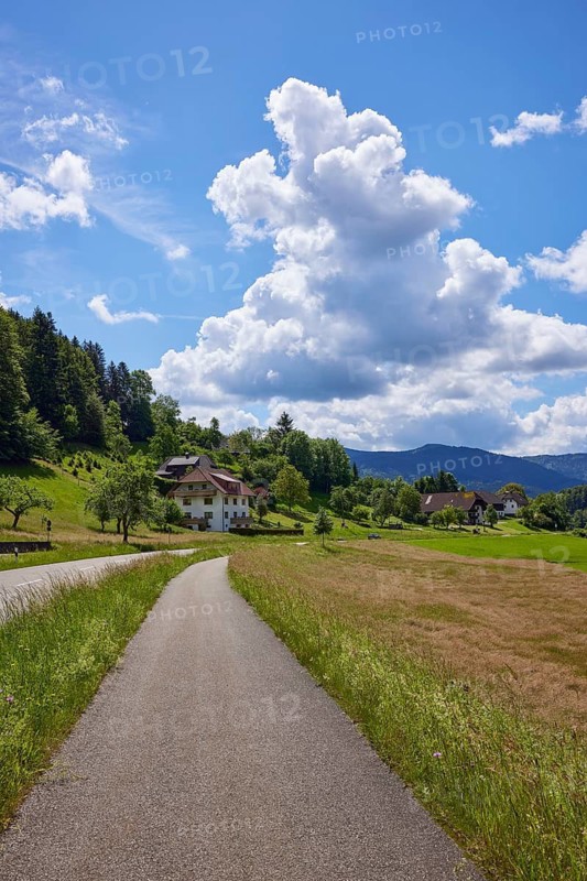 Cycle path, country road and blue sky with cumulus clouds in slight backlight in a landscape near Biederbach, Black Forest, Emmendingen district, Baden-Württemberg, Germany