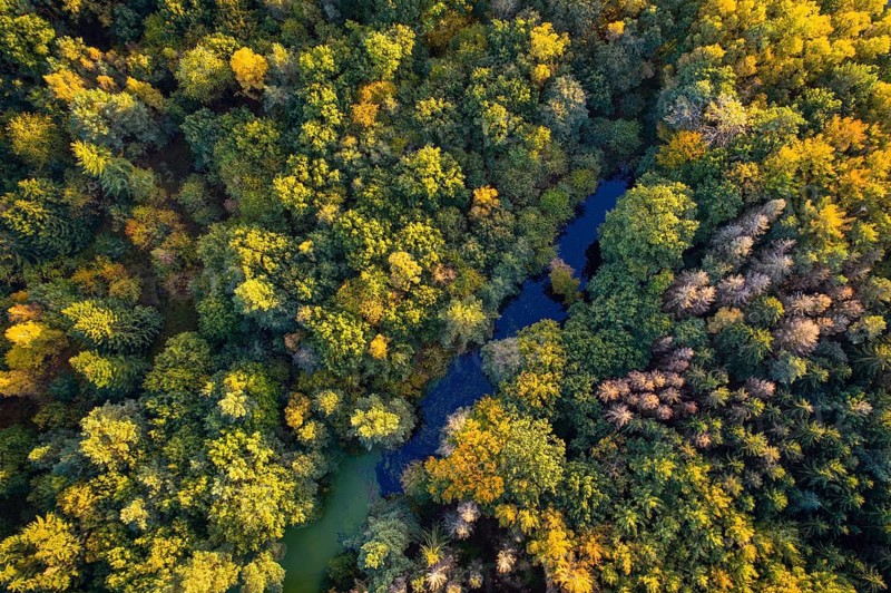 Hunte in autumn Barneführer wood, forest, autumn colors, Westerburg, Wardenburg, Lower Saxony, Germany