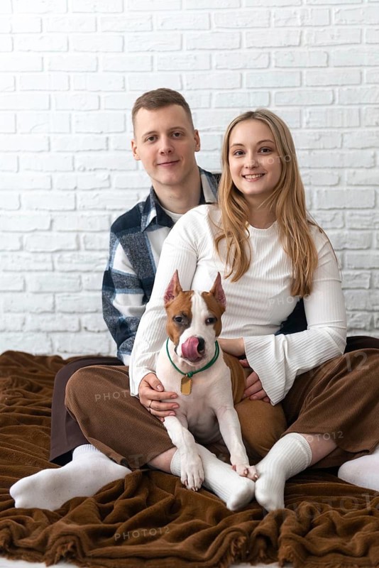 A cheerful young couple is sitting on the floor at home, lovingly embracing their playful white and brown Staffordshire Terrier puppy dog. They are smiling, dressed casually and sitting against a white brick wall background