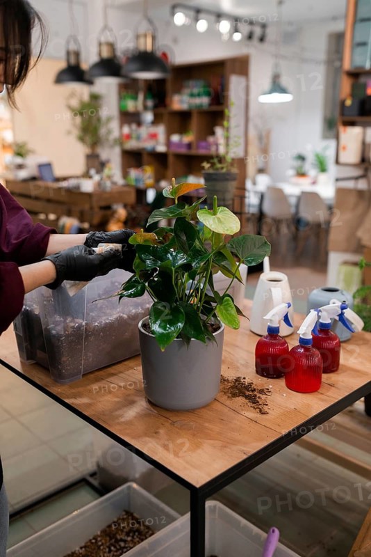 A woman tending to a potted plant on a wooden table inside a modern garden shop. Various gardening tools and supplies surround the plant, creating a cozy environment