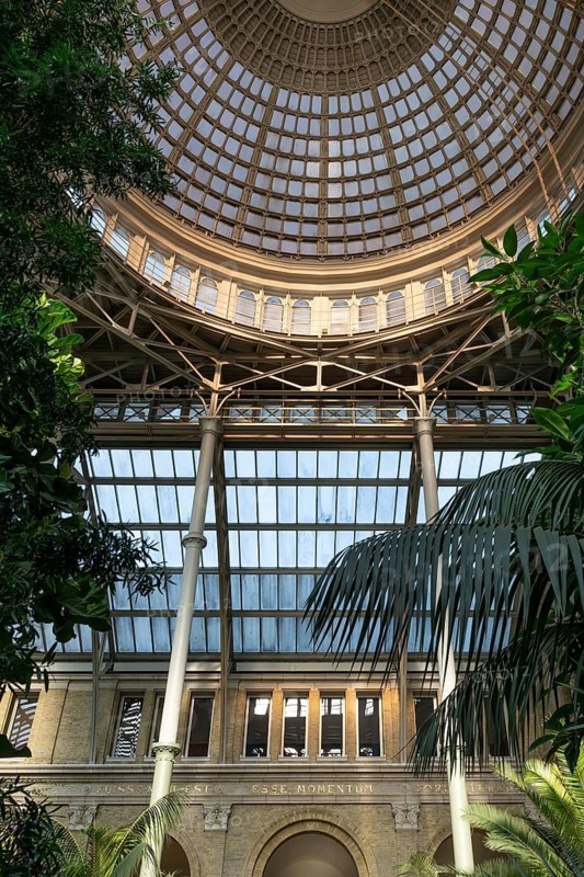 Palm garden, dome, Ny Carlsberg Glyptotek or New Carlsberg Glyptothek, art museum for sculpture and painting, architects Vilhelm Dahlerup and Hack Kampmann, Copenhagen, Denmark