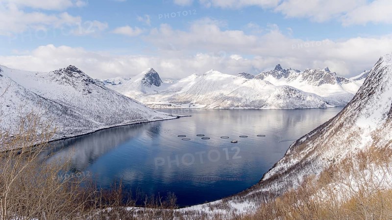 Aerial view of a fish farm in the waters of Husoy, Norway, surrounded by dramatic snow-covered mountains. The circular fish pens contrast with the serene arctic fjord, creating a unique scene