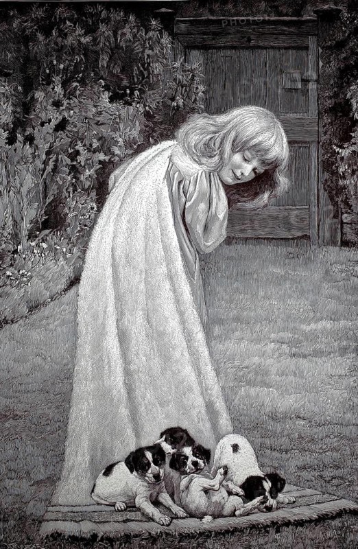 Four puppies have made themselves comfortable on a girl's coat and let themselves be dragged, 1896, illustration, reproduction from a 19th-century model. Authentic, file restored for optimal use, exact date of submission unknown, Historical, a girl looks curiously at a group of puppies in the garden. The atmosphere is playful
