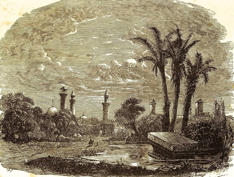 Place of residence of the Jew Joseph of Arimathea, disciple of Jesus taking Jesus from the cross, chapter 19, verse 38, Gospel of John, New Testament, Arimathea, Ramleh, Ramathaim, cityscape, towers, domes, nature, palm trees, water, Bible, historical illustration 1850