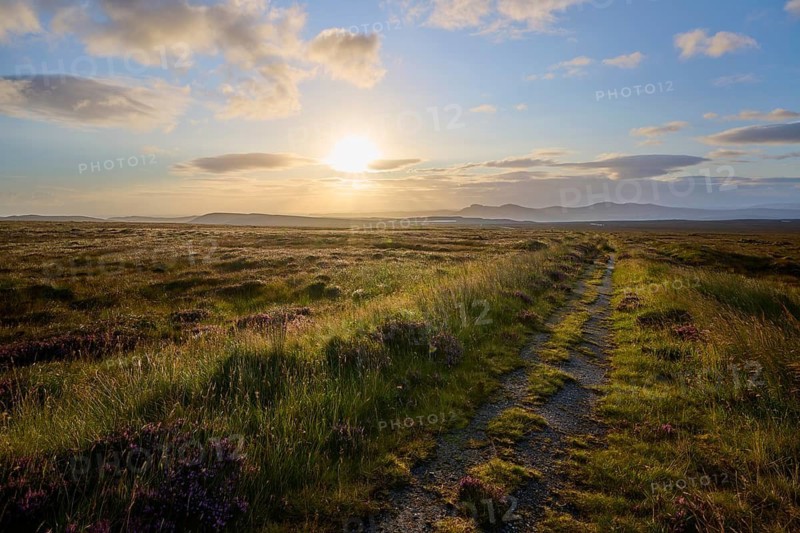A trail runs through grassy land at dusk with distant mountains, Moine House, Moine Track, Lairg, Scotland, United Kingdom, Great Britain