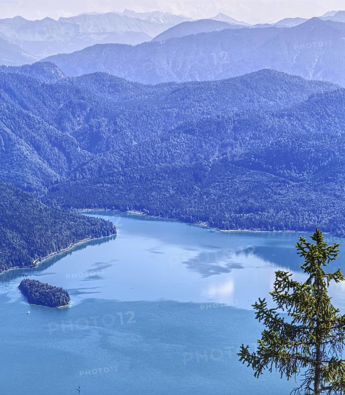 View from the Herzogstand down to a clear, blue mountain lake surrounded by dense, forested mountains under a clear sky, Walchensee, Bavaria, Germany