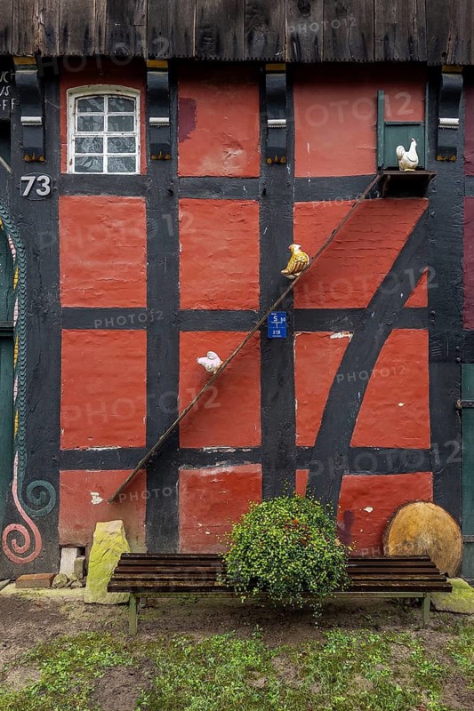 Chicken ladder as representation in front of a farmhouse, chicken, poultry, representation, gag, joke, farm, farmyard, cottage, Germany